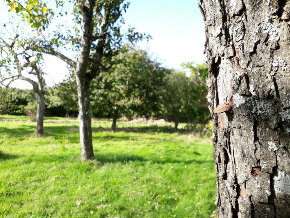 Terre De Reveries Maisoncelles-la-Jourdan Luaran gambar